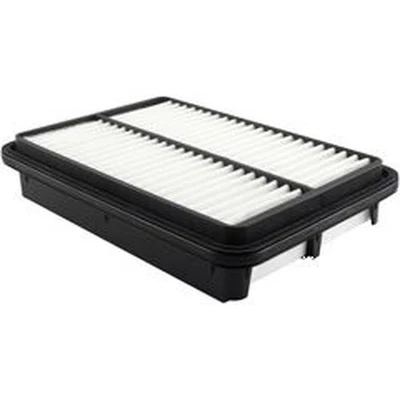 Baldwin PA4309 面板空气元件适用于 01-06 现代圣达菲 — 第 1/4 张图片