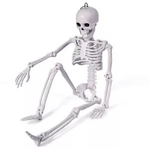24" Halloween Skeleton Decorations,Full Body Posable,Hanging Skeleton with Mo... - Picture 1 of 7