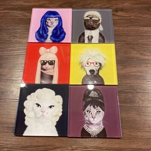 Pets Rock Cat -  Hepburn Perry Monroe Gaga - Glass Coaster Takkoda Empire Art 6 - Picture 1 of 13