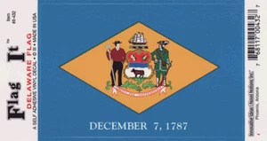 Calcomanía de bandera estatal de Delaware - Imagen 1 de 1