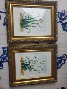 Paar Linoldruck Block Zwiebel Karotte Blume gerahmt signiert Nancy Mcintyre 2002+ - Bild 1 von 6