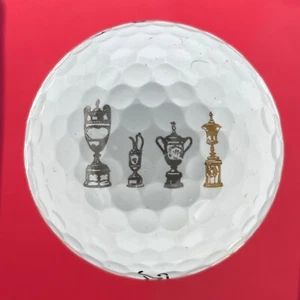 RARE Titleist Pro V1 MAJOR CHAMPIONSHIP TROPHIES Logo Golf Ball NEAR MINT AAAA - Picture 1 of 3