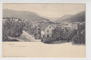 Tabarz Blick in den Lauchagrund 1904 - Bild 1 von 2