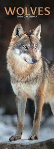 Wolves Slim 2026 Calendar | Slimline Gift 15% OFF MULTI ORDERS - Picture 1 of 8
