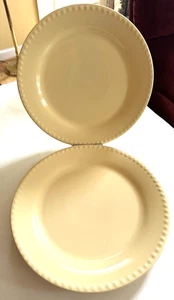 2 Southern Living at Home Hospitality Yellow Dinner Plates 11” NEW Gail Pittman - Picture 1 of 7