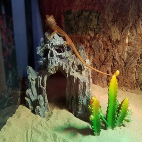 Aquarium Tunnel Höhle – Dekorative Untergrund-Deko Zum Verstecken & Spielen | Für Süß- & Meerwasser | 16,8x10x4,8 Cm | 3D-gedruckt