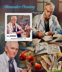 Sierra Leone - 2019 Alexander Fleming & Mushrooms - Block - SRL190403b - Bild 1 von 1