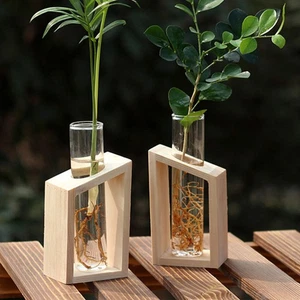 4Pcs Glass Test Tube Propagation Planter Clear Propagation Tube Plant Terrarium - Picture 1 of 12