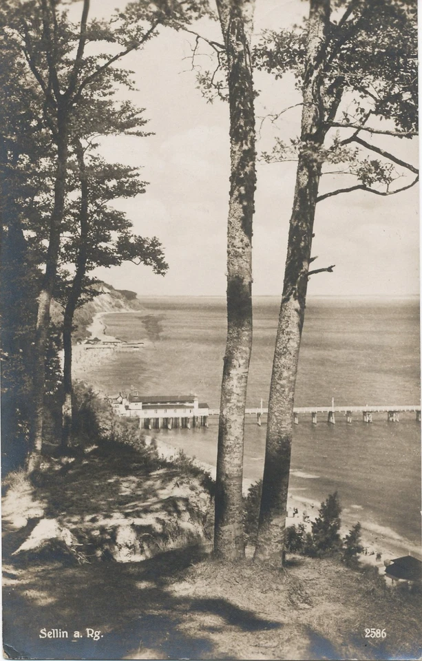 alte AK Sellin - Rügen - Ostsee 1931, Blick zur Seebrücke - Bild 1 von 1