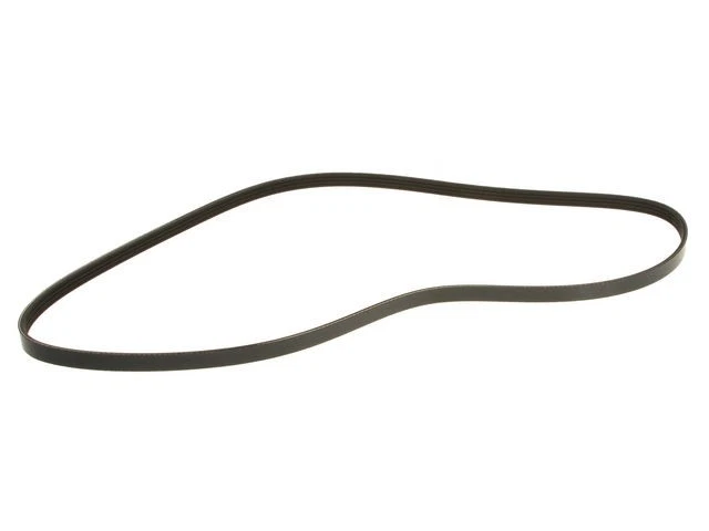 Multi Rib Belt For 2000-2004 Nissan Xterra 2001 2003 2002 WM671KQ - Image 1 of 1