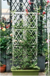 Obelisco da Giardino 2 Misure Forte Schermo Tubolare Gabbia Rampicante Piante Supporto Fiori  - Foto 1 di 17