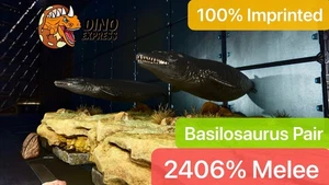 Basilosaurus Pair 2406% Melee, Black Basilo 100% Imprinted 79-Black - Picture 1 of 2