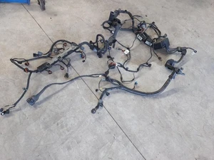 KIA CARNIVAL/GRAND CARNIVAL WIRING HARNESS KA4, 10/20 ENGINE LOOM - Picture 1 of 11