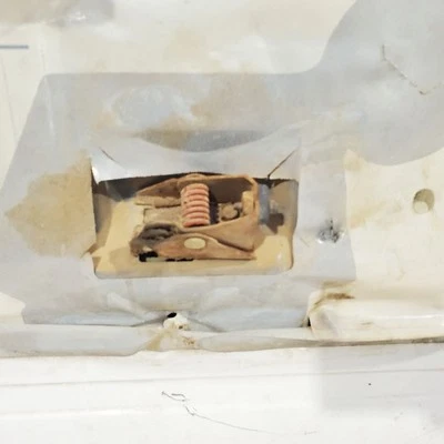 Ford F350 XLT 1995 1996 1997 doble OEM puerta trasera izquierda blanca Foto 1 de 4