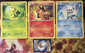 Snivy BW01 Tepig BW02 Oshawott BW03 Promo JUMBO Pokemon Card - Picture 1 of 2
