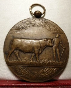 1940 50mm BELGIUM PENDANT MEDAL cattle competition award - Picture 1 of 2