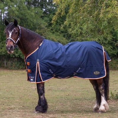 Gallop Trojan Duraproof 100g Horse Turnout Rug, Std Neck Lightweight Rug - Image 1 of 3