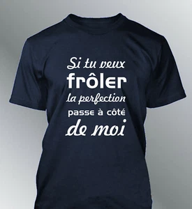Tee shirt homme Si tu veux froler la perfection humour fier beau gosse parfait - Imagen 1 de 5