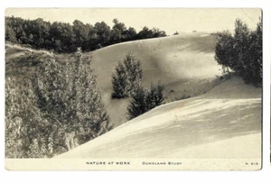 Postcard Nature at Work Duneland Study Camera Study Indiana Dunes C.R Childs Co - Picture 1 of 2