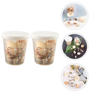 2 Boxes Sea Shells Natural Seashells DIY Crystal Epoxy Ornament Accessories - Picture 1 of 12