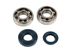 Bearings + blinds Benelli Bank 491 ST 50 99-01 / K2 50 and LC 98-01 - Picture 1 of 1