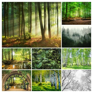 Fotomural Bosque Efecto 3D Árboles Naturaleza Salón PAPEL PINTADO NO TEJIDO XXL + PEGAMENTO - Imagen 1 de 60