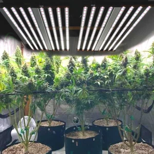Phlizon 1000W Samsungled Grow Light Bar Full Spectrum Hydroponics Replace Gavita - Picture 1 of 12