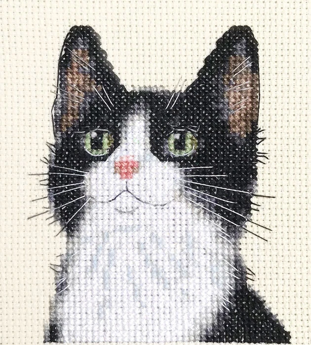 BLACK and WHITE CAT KITTEN Full counted cross stitch kit Fido Stitch Studio