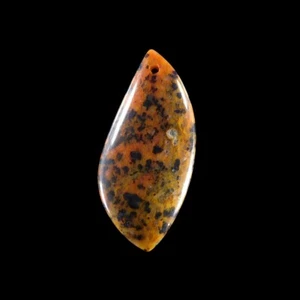 Gepard Achat 42x19x5 mm Anhänger Perle GC803228 - Bild 1 von 4