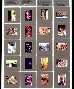 VTG Butchart Gardens British Columbia Souvenir Slides Lot + Bag 35mm L300 - Picture 1 of 4