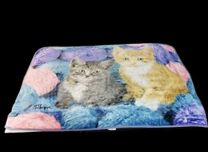 Greg Cuddiford Northwest Blanket Throw Two Kittens With Wool 50" X 60" Colorful  - Picture 1 of 12