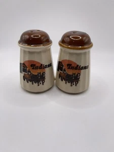 Vintage Indiana State Salt And Pepper Shakers Ceramic Horse Carriage - Picture 1 of 11