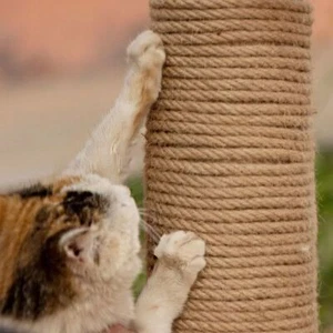 4-6mm 50/100M Jute Hemp Rope Thick Twine String Crafts Cat Scratch Post Rope - Picture 1 of 5