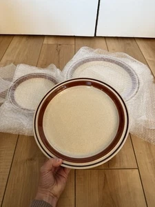 NEW Contemporary Chateau Hand Painted Stoneware Made In Japan Dinner Plates - Picture 1 of 5