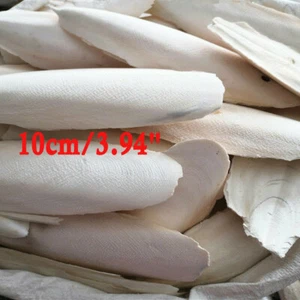 20pc Long 3.94" Cuttlebone Cuttlefish Bone Sepia Cuttle Fish Bird Food Calcium - Picture 1 of 12