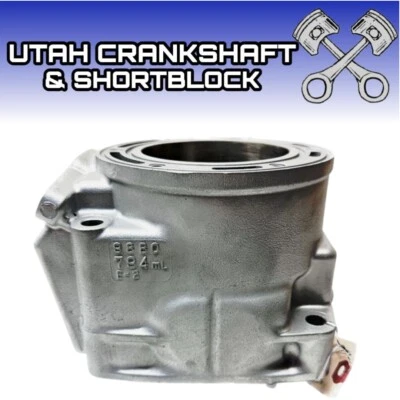 Good Used Arctic Cat 800 Cylinder 98B0 2007-2009 M8 F8 CRF8 Crossfire CF8 4C3D0 - Image 1 of 2