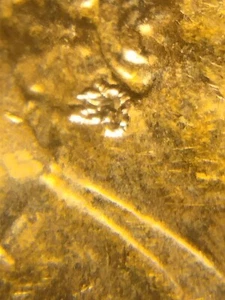 2016 P Lincoln Shield Cent Struck Thru Error - Picture 1 of 6
