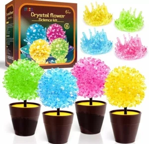 Science Kits for Kids, Crystal Growing Kit-Crystals Grow Fast in 24 Hours, STEM - Picture 1 of 4