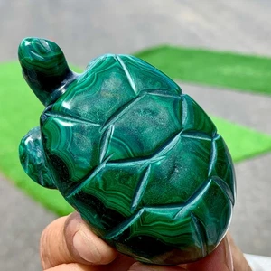 188G Natural glossy Malachite Crystal Handcarved turtle mineral sample - Picture 1 of 24