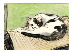 Kyohei Inukai drawing Cat paper Japanese Feline modernist american - Picture 1 of 2
