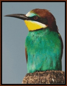 EUROPEAN BIRDS - BEE EATER ~ cross stitch pattern (punto cruz) - Picture 1 of 5