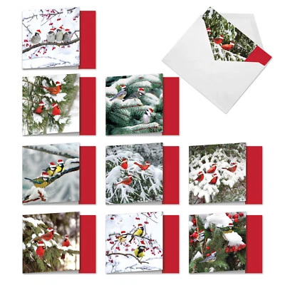 10 cartões de agradecimento de Natal em massa - Natal para os pássaros MQ5030XTG-B1x10 - Imagem 1 de 4
