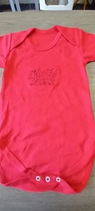Welsh Dragon embroidered Baby Short Sleeve Red Bodysuit - Picture 1 of 1