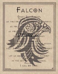 Falcon Parchment Poster ~ Wiccan Pagan Book of Shadows FREE BONUS LOOK! 