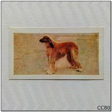 Horniman's Tea Card Dogs #1 Afghan Hound (B) (CC80)