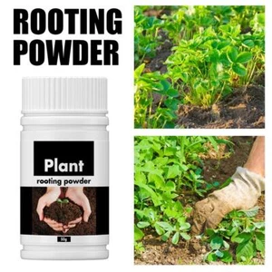 50g/100g Plant Rooting Powder For Promote Plant Rooting AU & Germination B2N4 - Picture 1 of 16