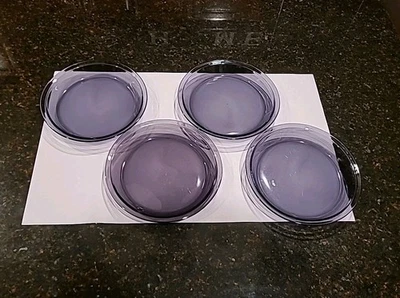 SET OF 4 Pyrex 209 Amethyst Purple Glass 9" Pie Dishes, Plates - Image 1 of 4