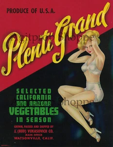 Vintage anni 40 Pin-Up Donna Plenti Grand Underware Etichetta Verdure Watsonville - Foto 1 di 2