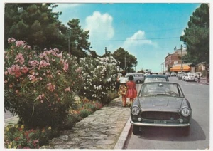 TIRRENIA - PISA - VIALE BELVEDERE - VIAGG. 1964 -16561- - Foto 1 di 1