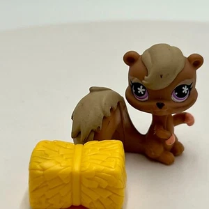 Littlest Pet Shop LPS 703 Squirrel Tan Brown Purple with Flower Eyes 2007 Blue - Picture 1 of 5